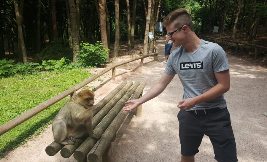 Senior Tim de Boer spent six weeks of his summer back home in his native Germany seeing some of the sites and visiting tourist attractions.