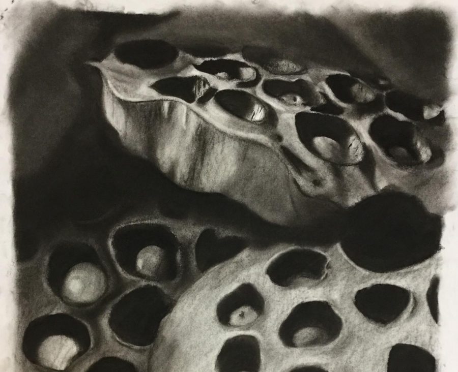 Jade Miller's art will be displayed at two public venues later this school year. This is a cropped image of her complete work.