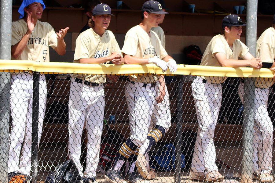 Potential baseball players are invited to a callout meeting on Nov. 27. 