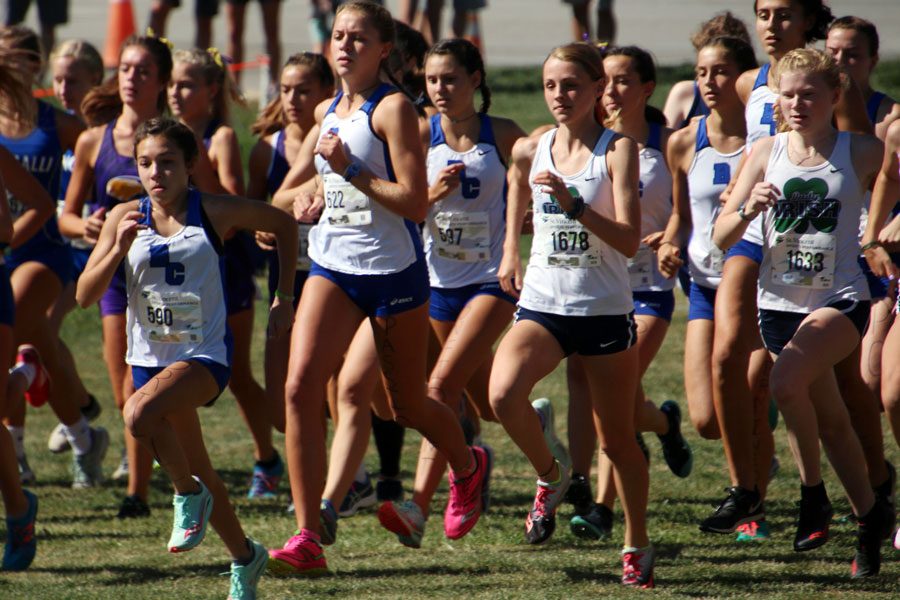 The women's cross-country team participates in a meet earlier this season. The Irish will run the Sectional meet on Oct. 12. 