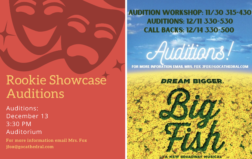 The “Rookie Showcase” and the “Big Fish”information sheet, detailing the time and location for auditions.