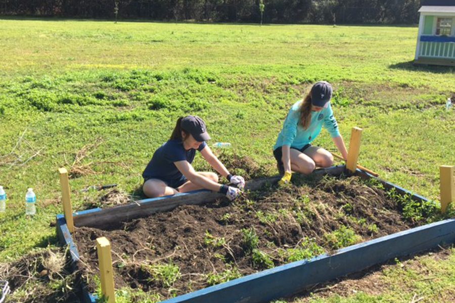 During the spring break mission trip to South Carolina, seniors Caroline Steiger and Sarah Fletcher help clear a gardening plot for the students at Freierson Elementary