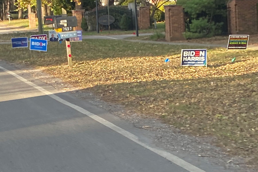 Political signs are displayed in yards at Dean Road and Royal Pine Boulevard. 