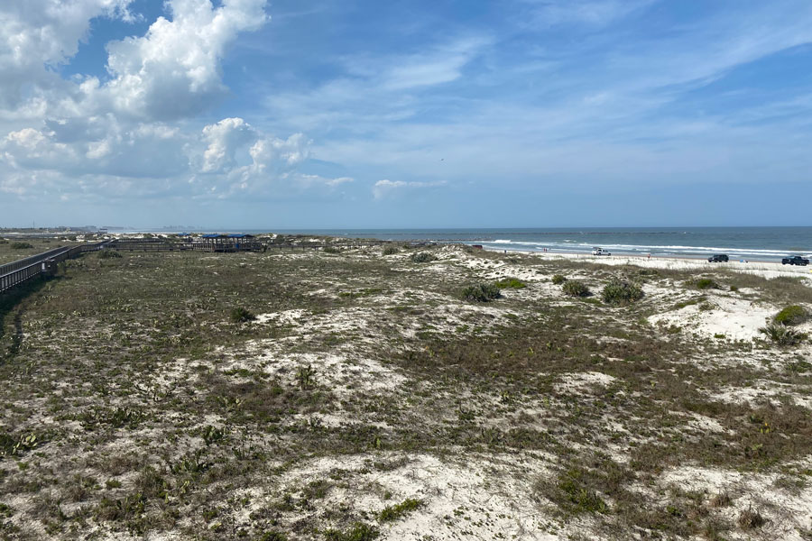 Scenes such as this one in Florida were replaced by a week of looking a computer screens during four days of online instruction. 